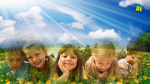 Разноцветное лето