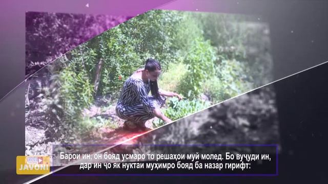 Элексири зебоӣ - ӮСМА! смотреть онлайн
