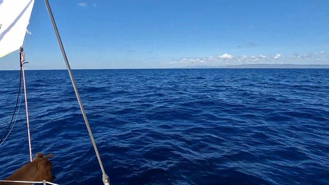 Day 1: Sailing from The Bahamas to Panama Through the Windward Passage смотреть онлайн