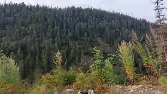 Нива едет в горы смотреть онлайн