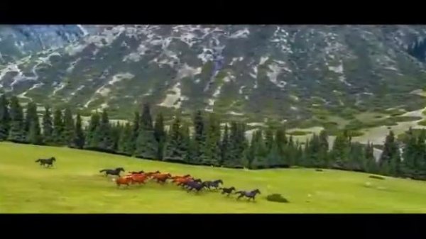 Природа Кыргызстана