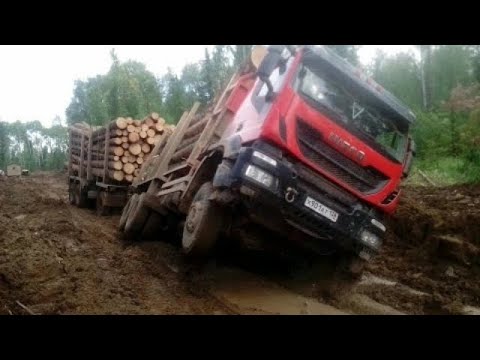 Водители лесовозов 85 уровня