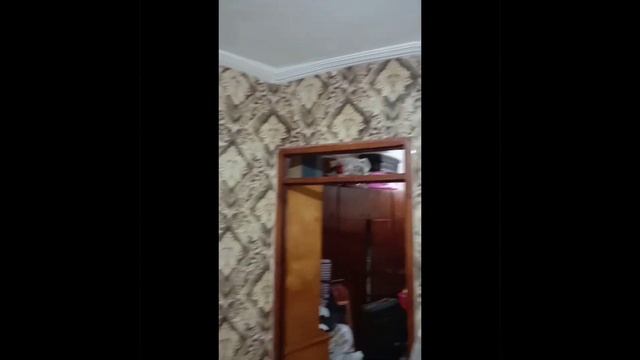 تغليف الجدران بالورق 0659720435 смотреть онлайн