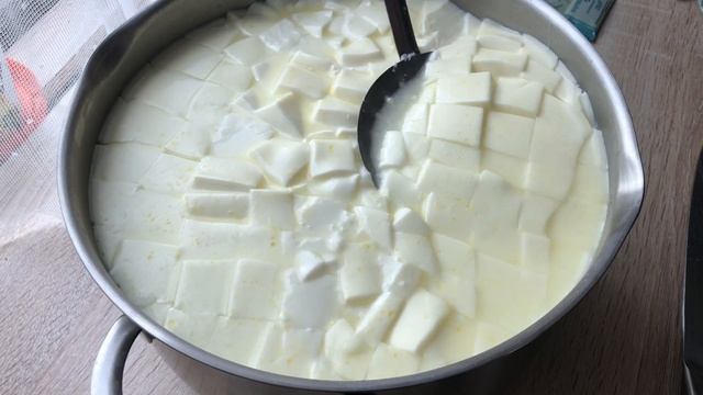 Готовим СЫР дома/Вкусный и полезный сыр с заквасками БАКЗДРАВ