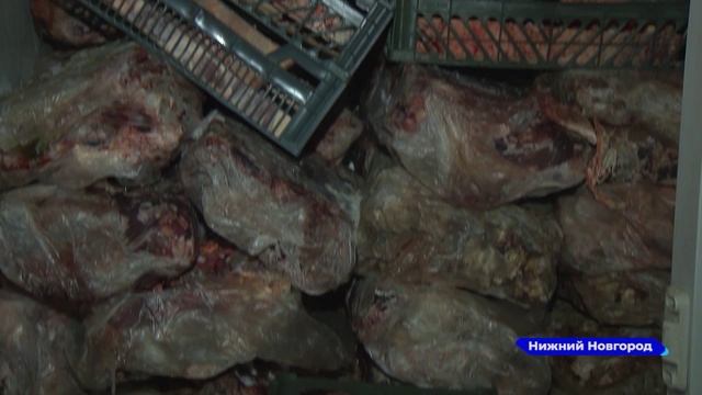 Новости "Волга 24" 29.03.2022 15:00