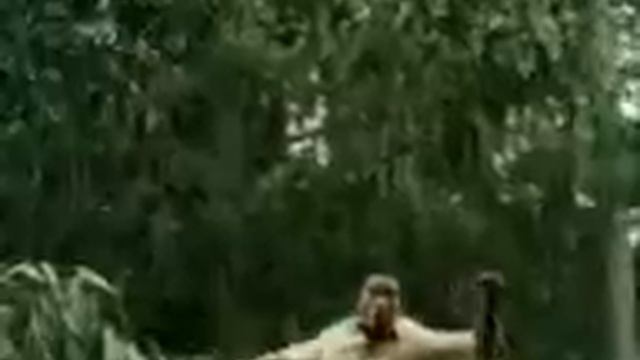 Сокровище Амазонки