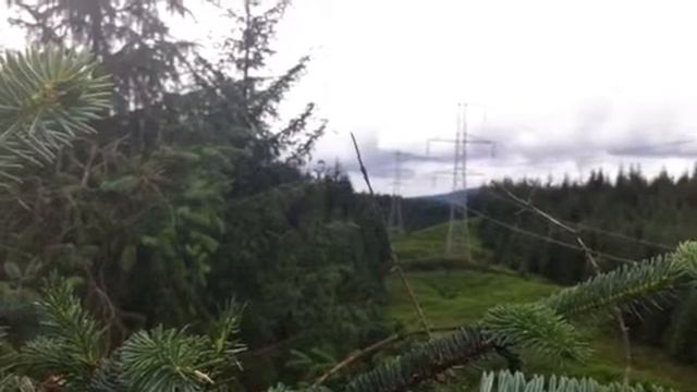 Chris topping смотреть онлайн