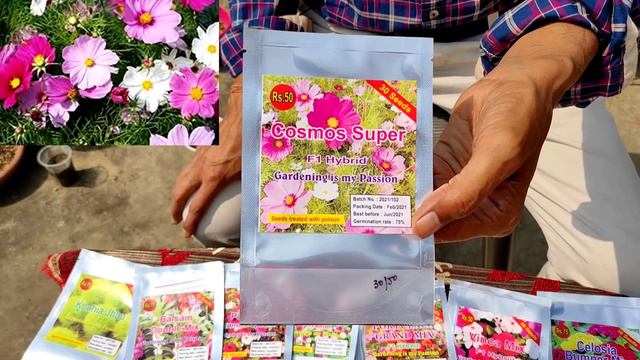 Best 12 Flowers to Grow in March and April ।। Summer Season Flowers смотреть онлайн