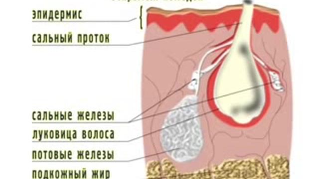 Что такое угри. Взгляд изнутри. смотреть онлайн