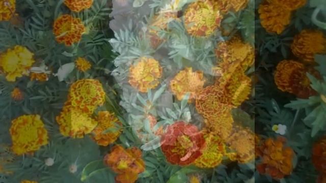 Летнее настроение 2 смотреть онлайн