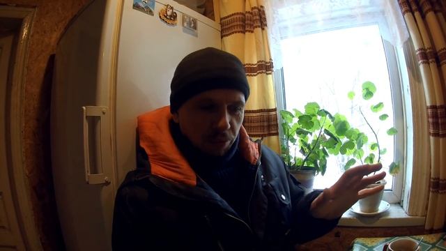 ИНДЮКИ и "ЗАБОЙНЫЕ" ДНИ в ХОЗЯЙСТВЕ, РАЗДЕЛКА ИНДЮКА // СОДЕРЖАНИЕ ИНДЮКОВ смотреть онлайн