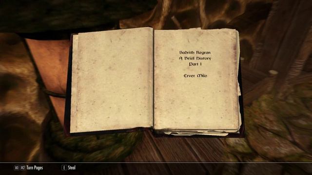 Let's Play Skyrim: Project AHO #2 [Deutsch] So ein Unsympath! смотреть онлайн