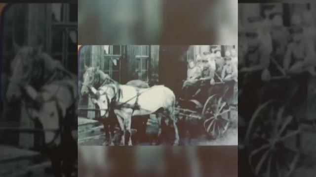 УВК. ШГ №29. За мир, в котором мы живем!