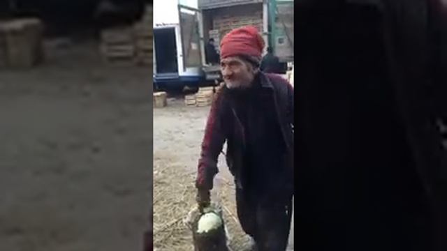 Бухоролик хазилкаш амаки)) смотреть онлайн