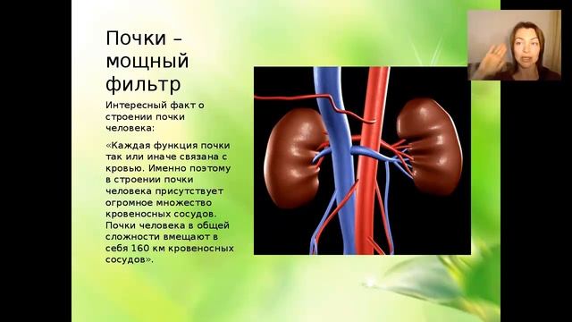 Очищение лимфатической системы в домашних условиях смотреть онлайн