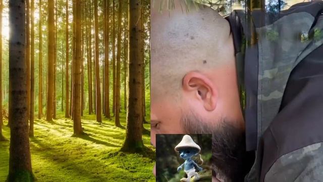 это самый редкий и дорогой гриб 🍄 смотреть онлайн