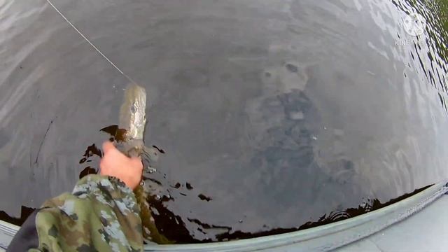 рыбалка на Окуловском озере смотреть онлайн