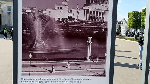 Веганская Кухня