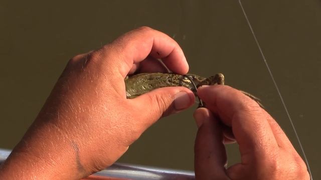 Ловля Сома. Лягушки. Астрахань. Рыба. Уха. смотреть онлайн