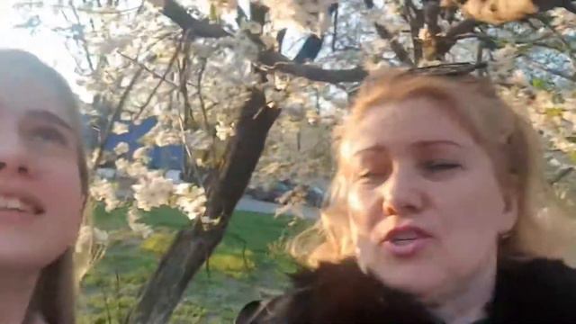 ВЕСЕННЯЯ МОСКВА НА КАРАНТИНЕ / ЦВЕТУЩАЯ МОСКВА смотреть онлайн
