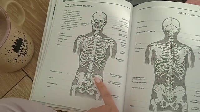 Разрисовываем футболку белизной или как отпугнуть окружающих своим видом смотреть онлайн