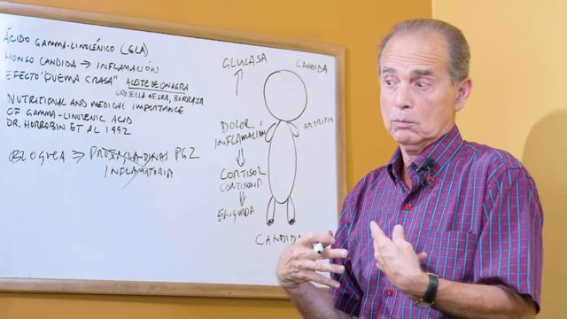 Episodio #2016 Reduce Inflamacion Y Dolor смотреть онлайн