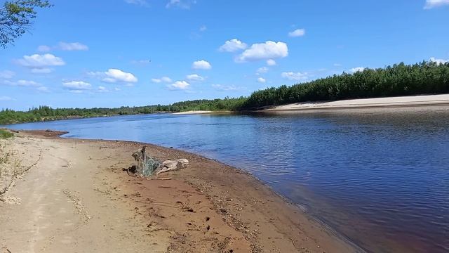 Речка быстрая река.