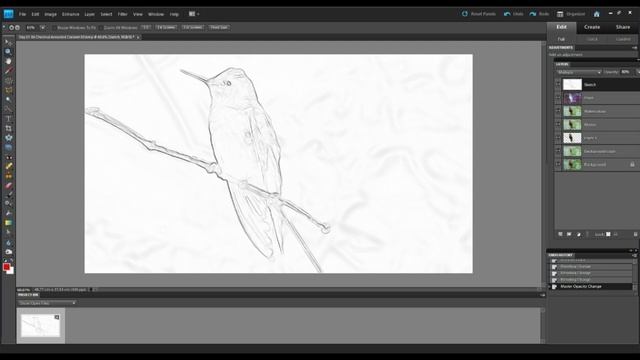 Painting Wildlife in Watercolours Using Photoshop Elements - A Tutorial HD смотреть онлайн