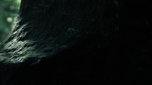 Plato's Cave #ambientmusic #meditationmusic смотреть онлайн