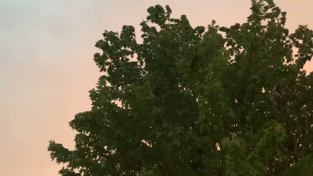 Моя жизнь в США. Как же нам живётся здесь, в Америке? Часть 8. Ричланд, штат Вашингтон, США смотреть онлайн