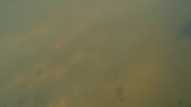 КАМБАЛА   ОТКРЫТИЕ СЕЗОНА  FLOUNDER   OPENING OF THE SEASON 2020