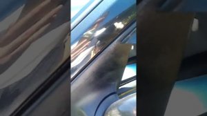 как быстро покрасить треугольники зеркал Шевроле Круз.