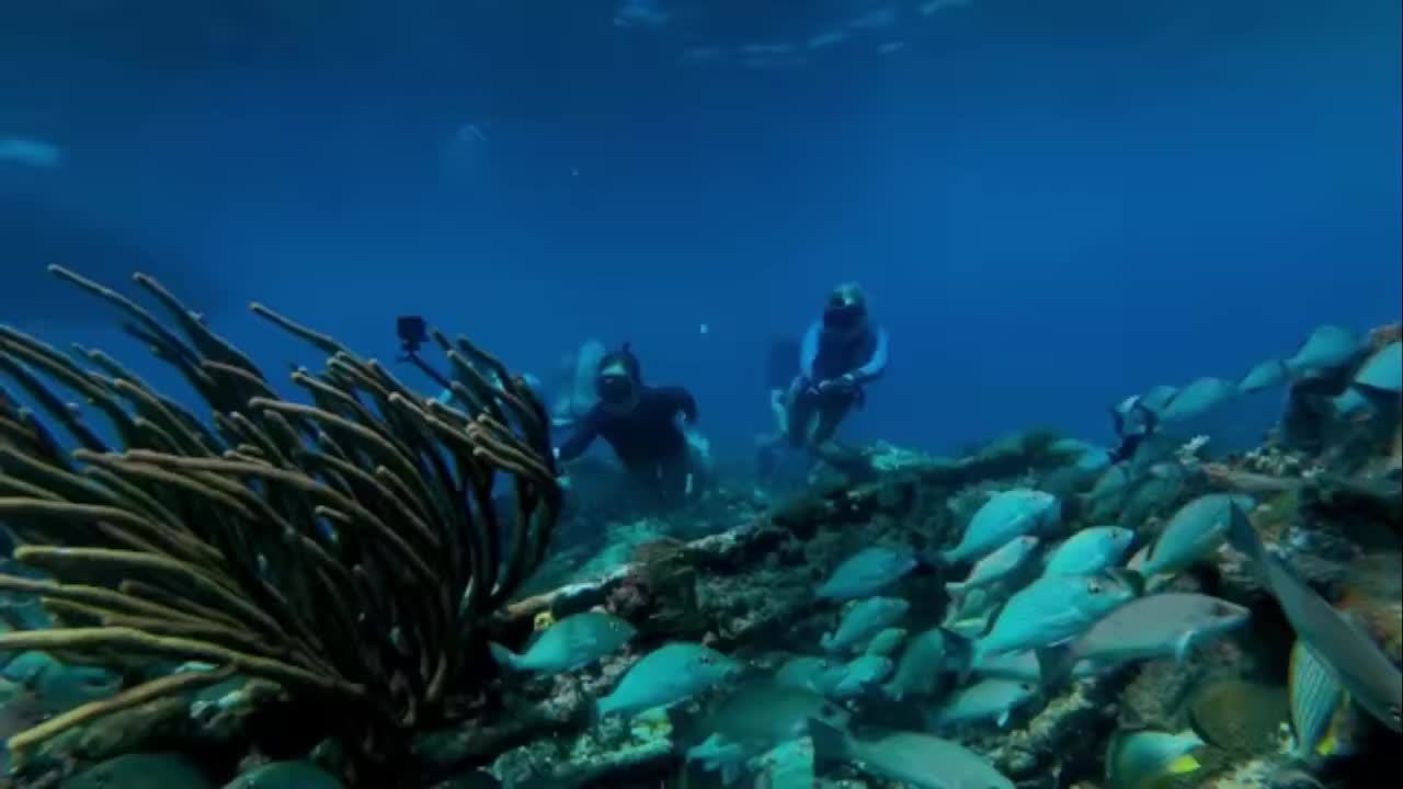 test смотреть онлайн