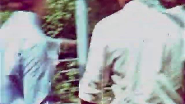 Свадьба Лены и Андрея в Беловежской пуще 30 июня 1984 года. Снята на кинопленке 8мм и оцифрованная. смотреть онлайн