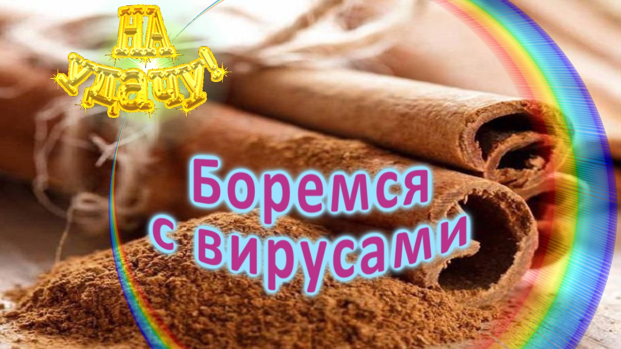 Боремся с вирусами смотреть онлайн