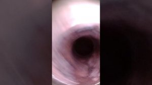 OM 642  940  Результат льющих форсунк. Отсутствие хона , треснутые поршня и уставшие колпочки.