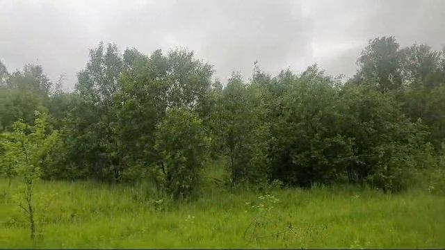 ЗУ :491 Солнечногорск смотреть онлайн