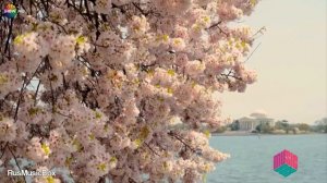 Один Лишь Раз - Milen _ Новая Версия Клипа 2022!!!