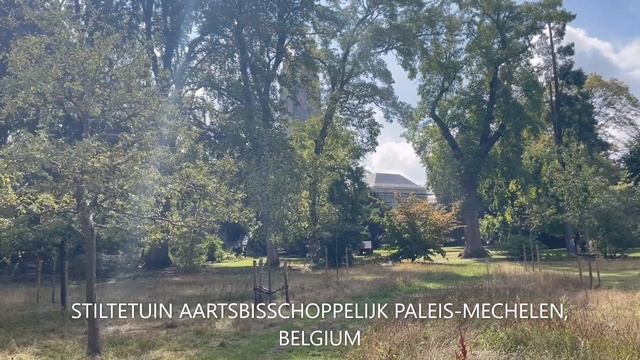 Stiltetuin Mechelen-Belgium смотреть онлайн