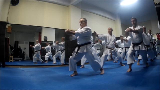Shihan Yavuz OKUR Shotokan KARATE - 27 смотреть онлайн