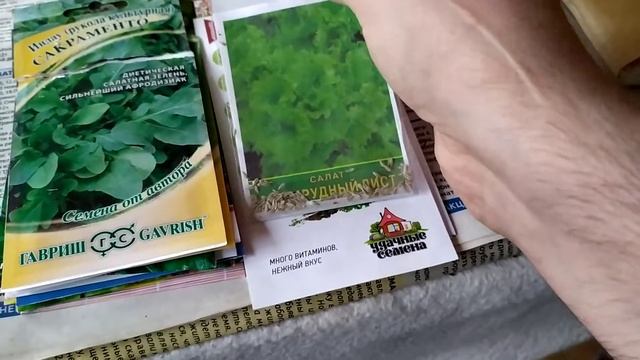 Кратко о том какую зелень я посадил, посажу и собираюсь посадить в 2021 году на даче смотреть онлайн