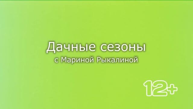 Дачные сезоны с Мариной Рыкалиной от 2 ноября 2023 года смотреть онлайн