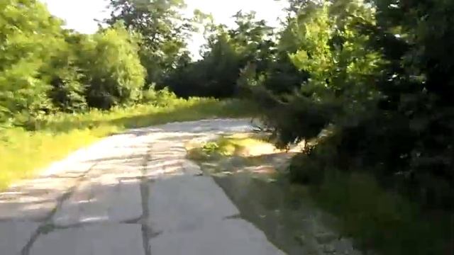 Черника, Карпаты, Полонына Руна, горная. смотреть онлайн