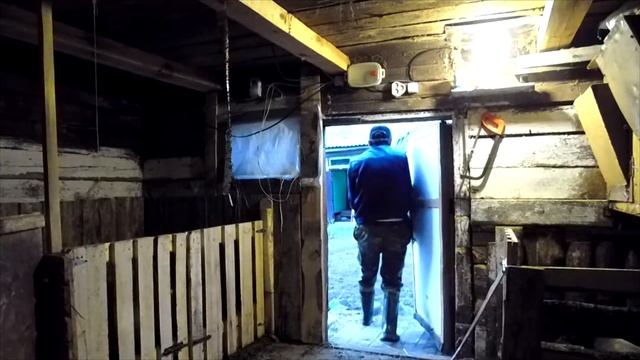 ДЕРЕВЕНСКИЙ ДУРАК НОСИТ СВИНЕЙ НА РУКАХ смотреть онлайн