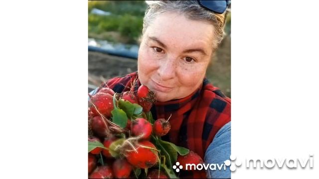ВНИМАНИЕ!!! АКЦИЯ НА ПРОФИ РЕДИСА // ВАЦАП ДЛЯ ЗАКАЗА 8-915-245-81-59 ТОЛЬКО ПИСЬМЕННО!!! смотреть онлайн