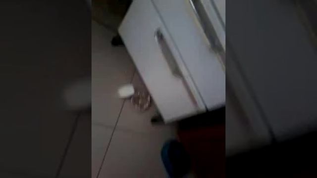 Как же кошке похудеть? смотреть онлайн