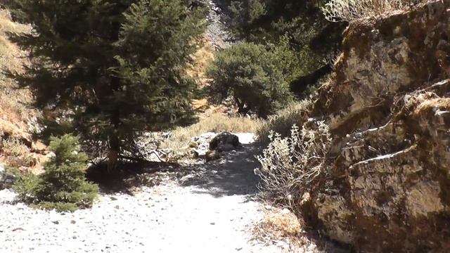 Die Imbros Schlucht, T4, 01.08.2012 / Ущелье Имброс. Греция, остров Крит смотреть онлайн
