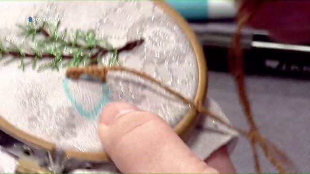 Сосновая ветка и шишка - по-бразильски смотреть онлайн