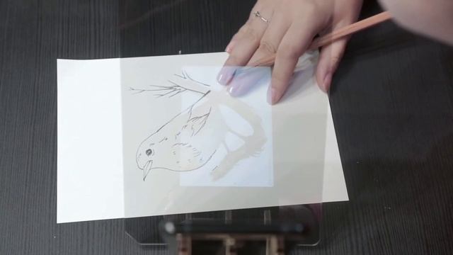 Indraw Holo-Sketch Kit смотреть онлайн