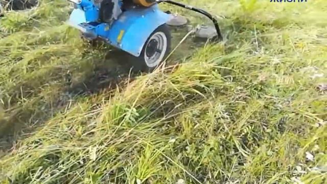 МОТОБЛОК. КОСИЛКА ЗАРЯ ПРОТИВ МУРАВЕЙНИКОВ. смотреть онлайн